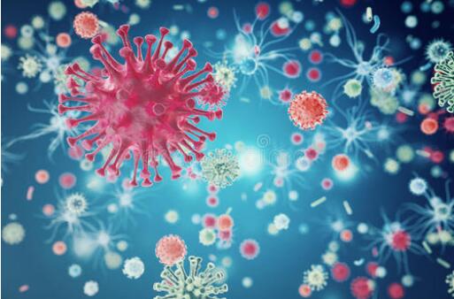 Mach1-T1 Ultracompetent cells；Mach1-T1超级感受态细胞