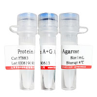 豚鼠脾脏淋巴细胞分离液北京现货