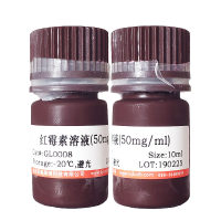 快速实时荧光定量PCR预混体系(低含量ROX校正染料)