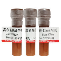 考马斯亮蓝R250蛋白快速染色液价格