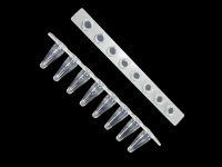 35mm玻底培养皿(10mm孔径)现货供应