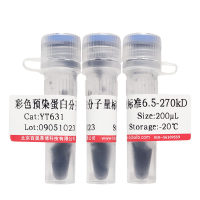 SuperSYBR Mixture(不含ROX校正染料)