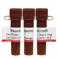 ARE凝胶迁移突变探针(10μM)北京现货