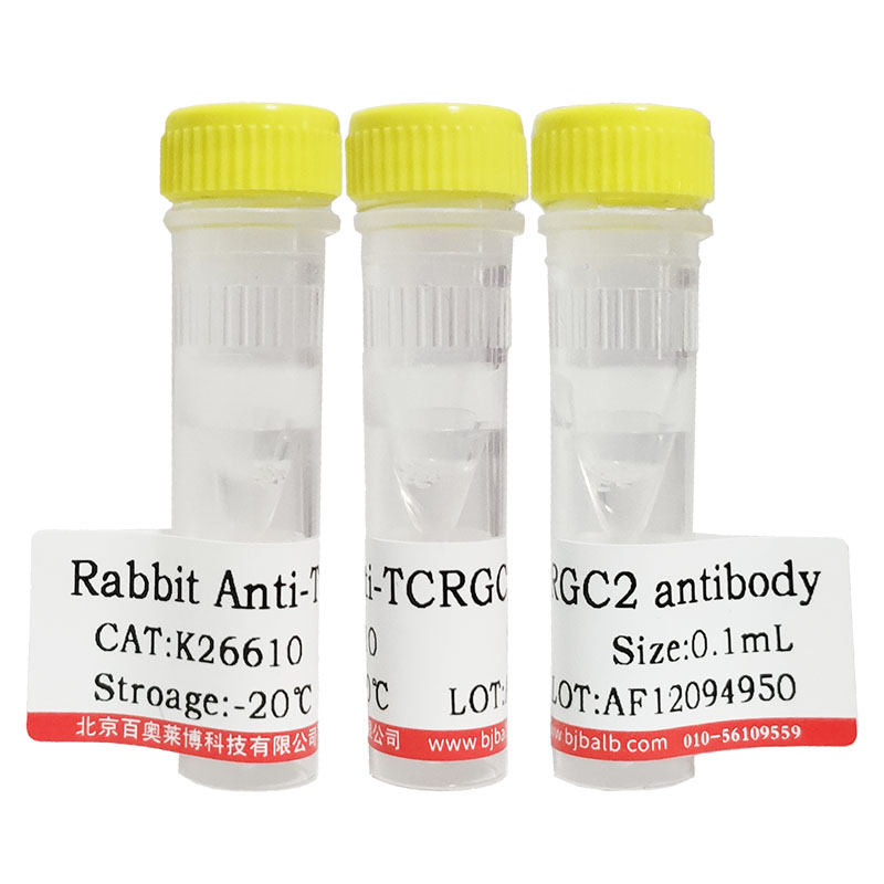 kFluor350标记山羊抗兔IgG(H+L)