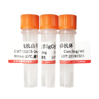 肌酸激酶B多肽(CK-B,81)现货供应