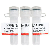 Cy5.5标记山羊抗小鼠 IgG(H+L)