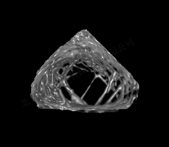 骨质疏松大鼠、小鼠动物模型