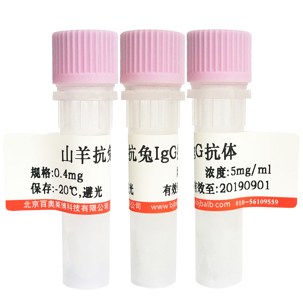 小鼠抗人IgG1抗体(单克隆二抗)北京厂家