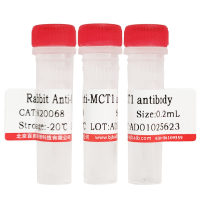 Alexa Fluor 594标记兔抗山羊IgG(H+L)