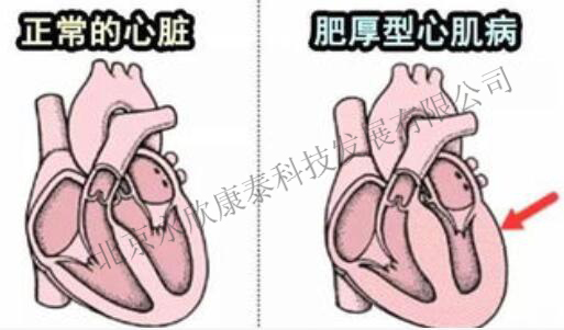 产品细节图片3