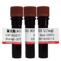 HighPoly非脂质体高效转染试剂价格