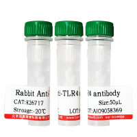 小鼠抗人CD38单抗优惠促销