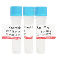 重组人白介素7(IL-7)(>98%)北京品牌