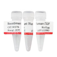 重组小鼠MIG/CXCL9北京现货