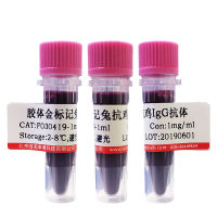 氨基化4碳链连接4FF琼脂糖凝胶价格