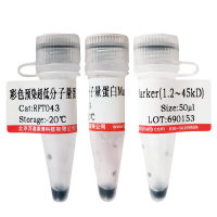 青蒿琥酯(88495-63-0)(HPLC≥98%)