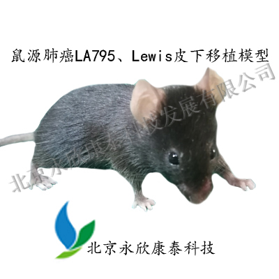 鼠源肺癌LA795、Lewis（LLC）皮下移植模型