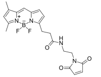 BDP FL Maleimide / BDP FL Maleimide
