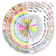 mNGS | 宏基因组测序在病原检测中的机遇与挑战