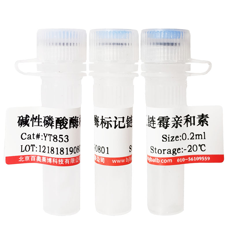 T4 DNA连接酶（3U/μl)价格