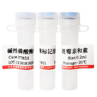 T4 DNA连接酶（3U/μl)价格