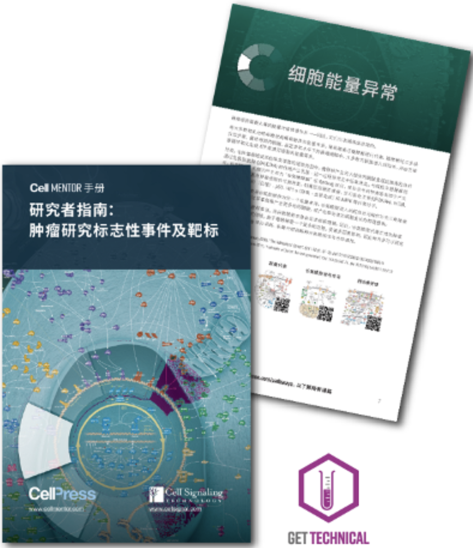 点我下载，研究者指南《肿瘤研究标志性事件及靶标》