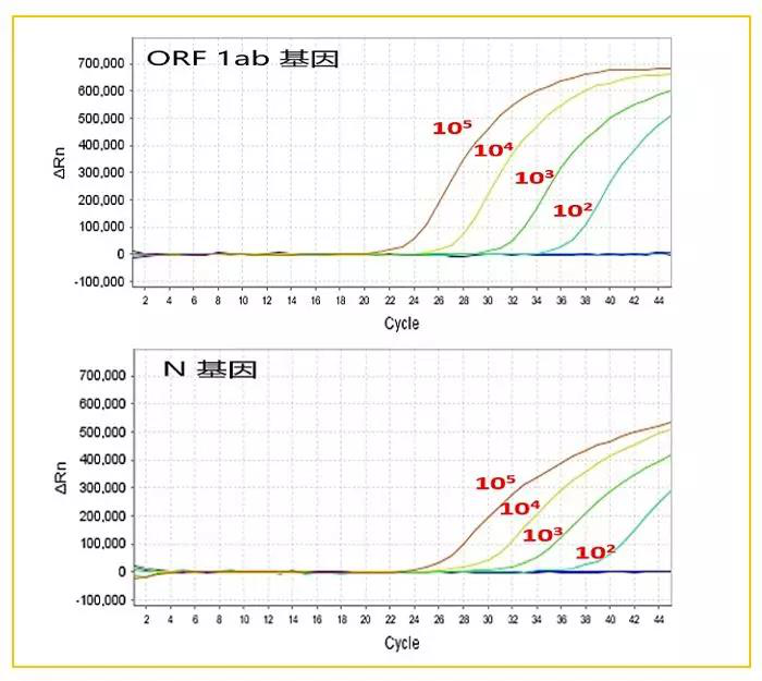 新品发布：ABScriptⅡ One Step RT-qPCR Probe K
