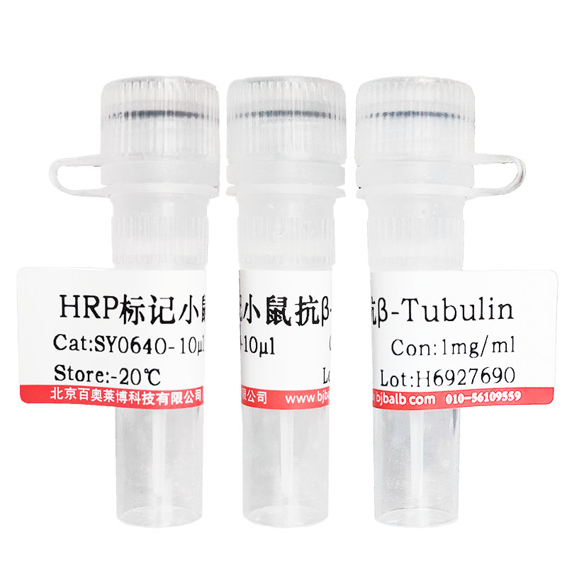 HRP标记氨苄青霉素(Amp-HRP)北京厂家