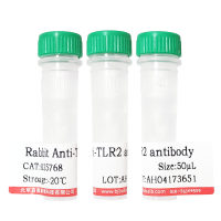 Alexa Fluor 488标记驴抗豚鼠IgG(H+L)