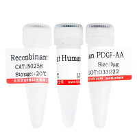 重组人Rnase 1优惠促销