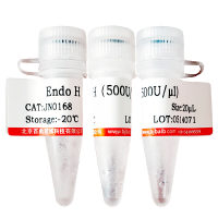 Argreline Acetate肽现货供应