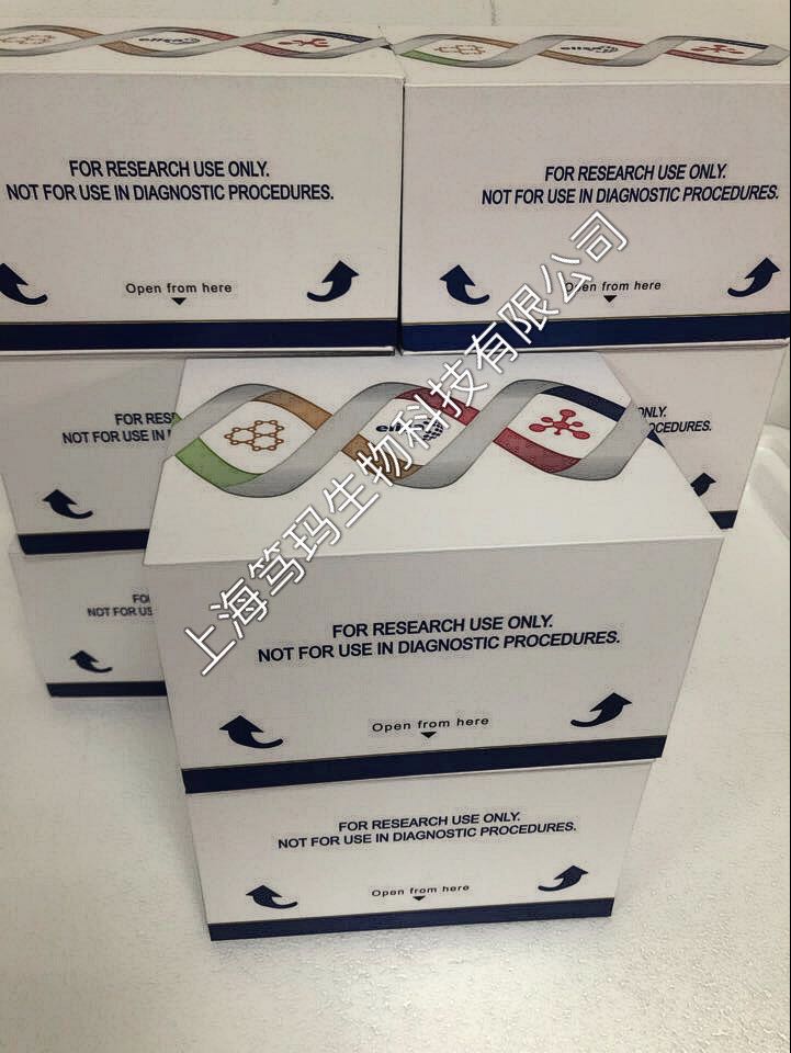 ELISA试剂盒开学促销，上海笃玛生物