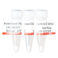 重组人Eotaxin-2/CCL24价格