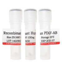 重组人ST6GAL1北京供应商