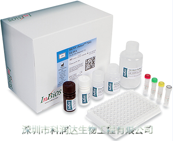 恙虫病IgM检测试剂盒