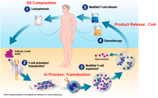 Curiox层流洗涤技术——助您获得卓越的流式细胞检测数据