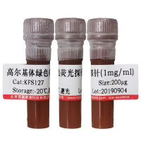 DH5α电击感受态细胞北京价格