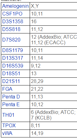 SW1116【SW-1116; SW 1116】结肠腺癌细胞