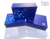 牛葡萄糖转运蛋白4(GLUT4) ELISA kit免费代测