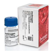 Exosome-Streptavidin Isolation/Detection Reagent