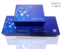 猪骨成型蛋白2(BMP-2)ELISA kit 电子版说明书