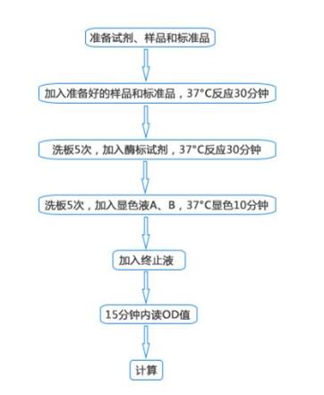 猪黑色素瘤转移表面黏附分子(MMSAM) ELISA kit