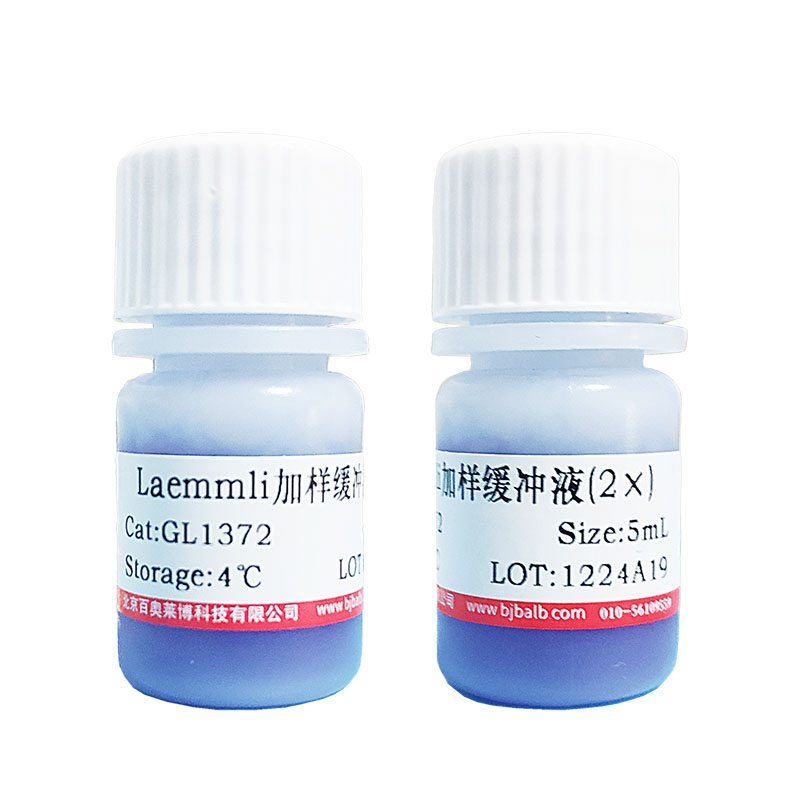 两性霉素B试剂(1397-89-3)(80%,750 μg/mg)