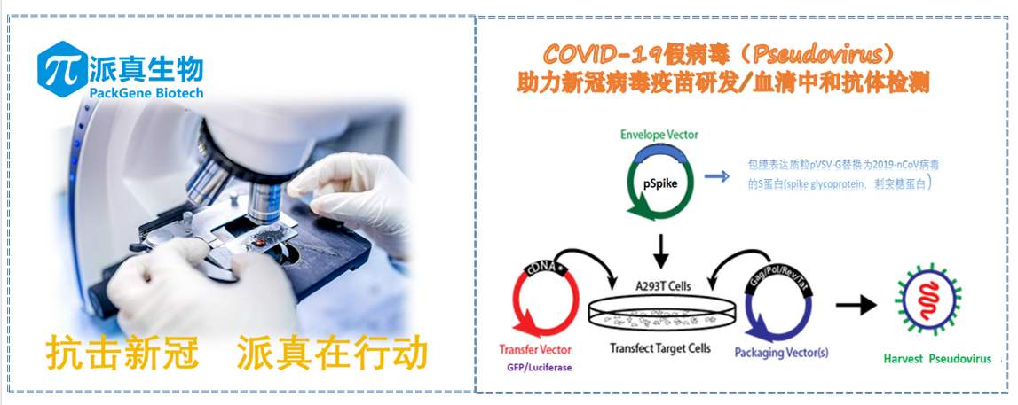 二手煤炭炒货机官网58CE84C1-588