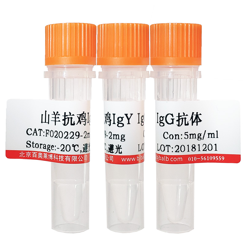 髓过氧化物酶轻链(MPO-L)多肽北京厂家