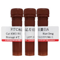 小鼠纤连蛋白(>95%)优惠促销