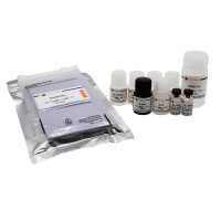 Porcine IL-1β ELISA Kit 