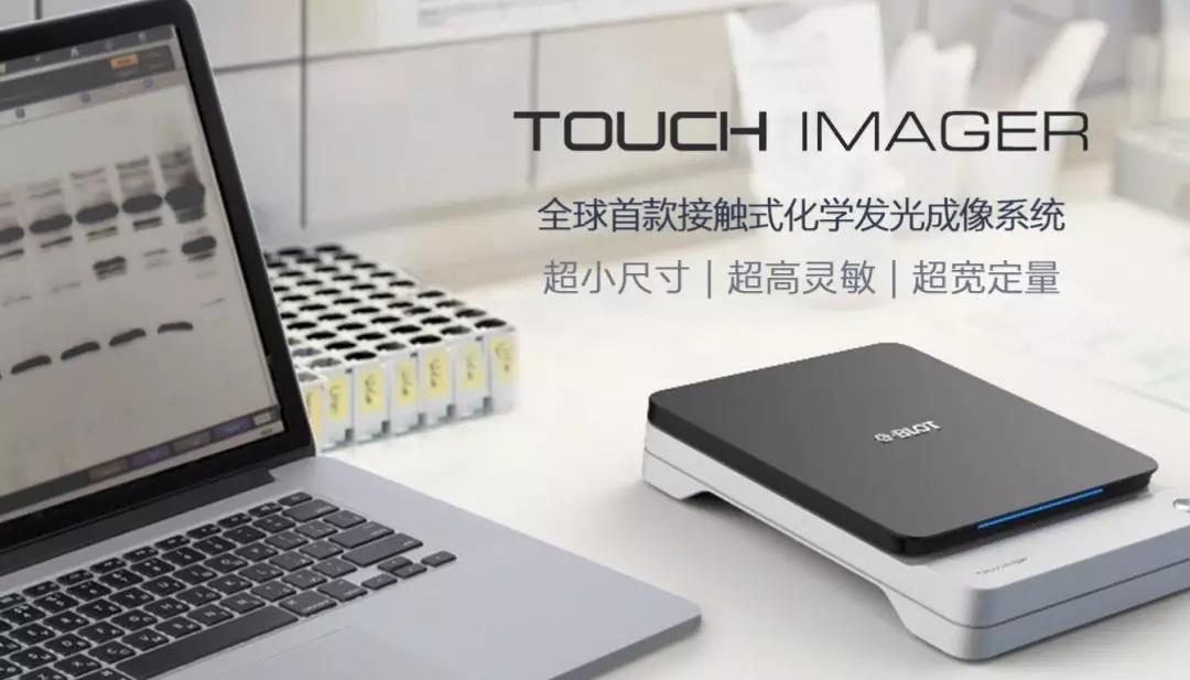 Western成像技术最新突破，让低丰度蛋白无处可藏