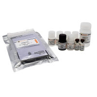 Porcine IL-6 ELISA Kit 