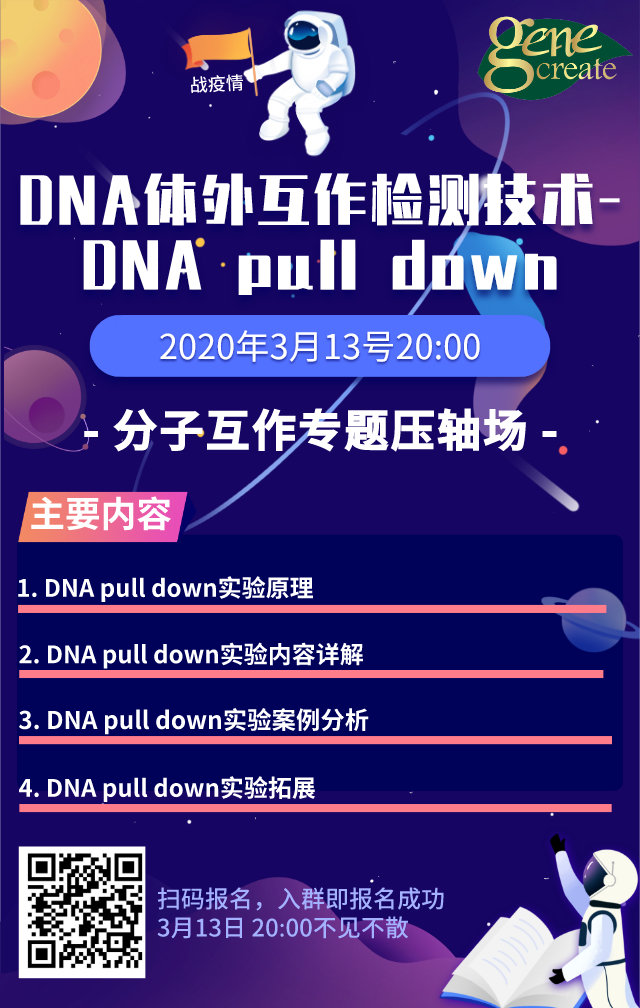 分子互作压轴场《DNA体外互作检测技术-DNA pull down》